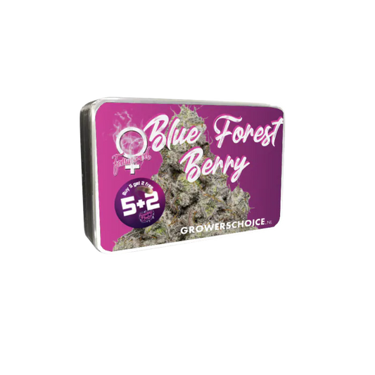 Growers Choice / FEM / Blue Forest Berry