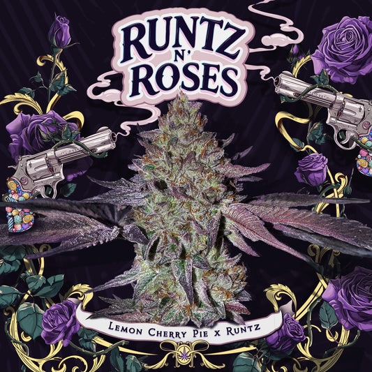 T.H.Seeds / FEM / Runtz N Roses